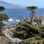 IMG_9722(2) (May 09, 2025)